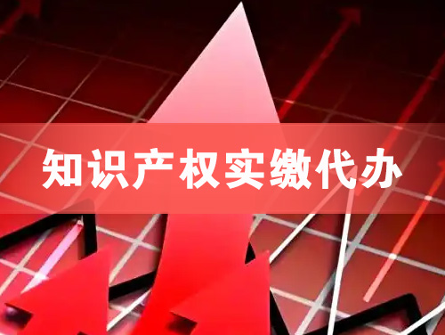 凉山知识产权实缴资本代办
